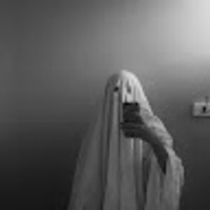 Meet your Posher, Dusty